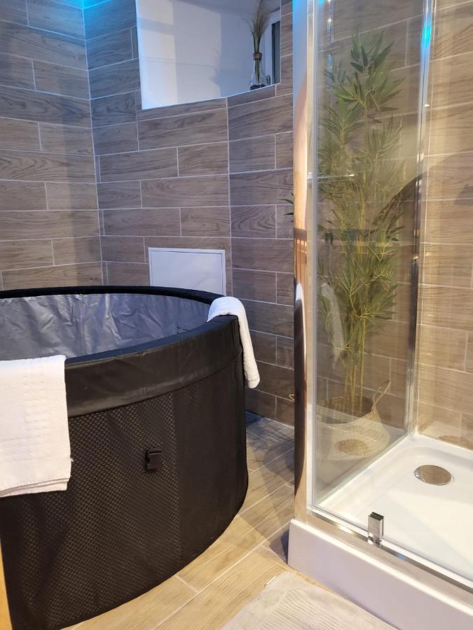 Le Spa De La Cathedrale - Jacuzzi - Sauna - Champagne - Netflix - Wifi Troyes Exterior photo